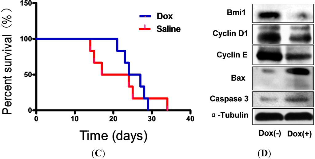 Ijms 15 20004 g005b 1024