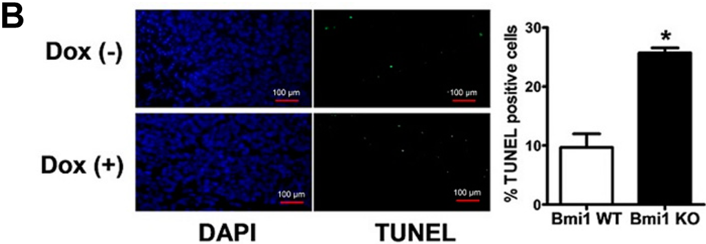 Ijms 15 20004 g006b 1024
