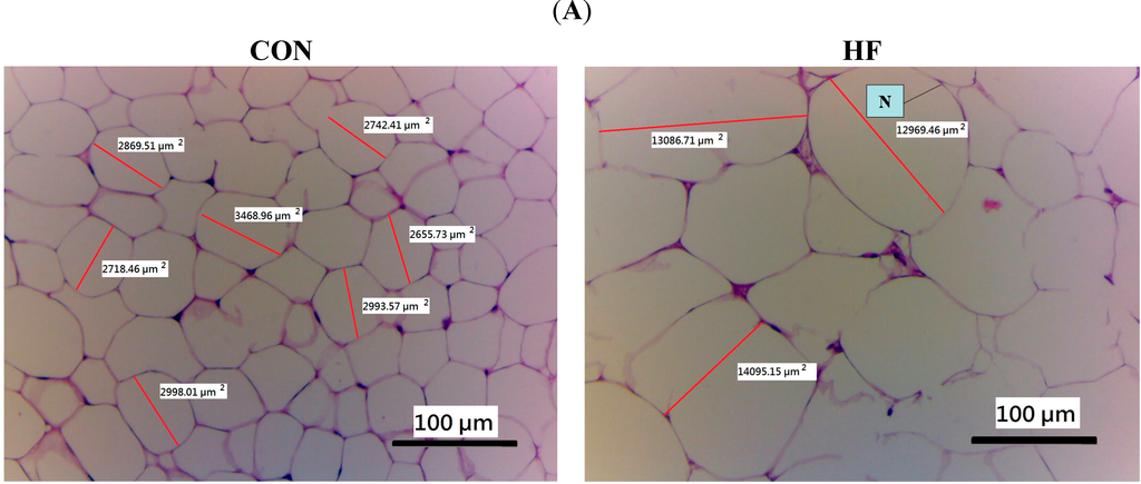 Ijms 15 20022 g003a 1024
