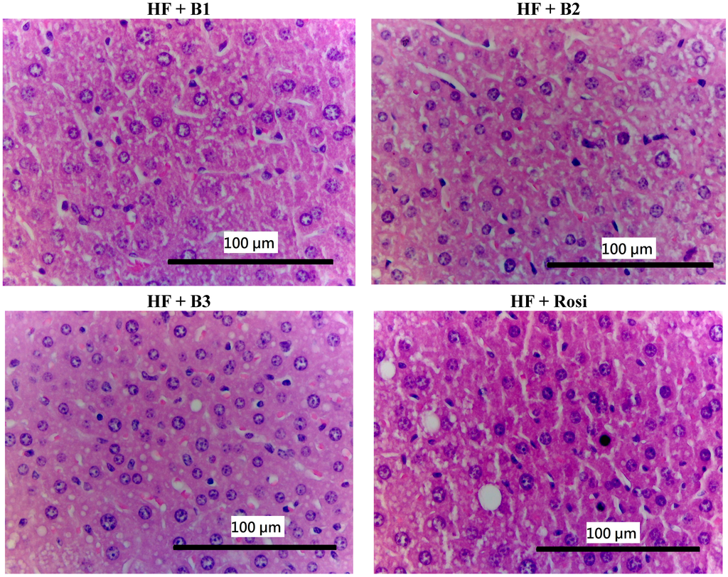 Ijms 15 20022 g003c 1024