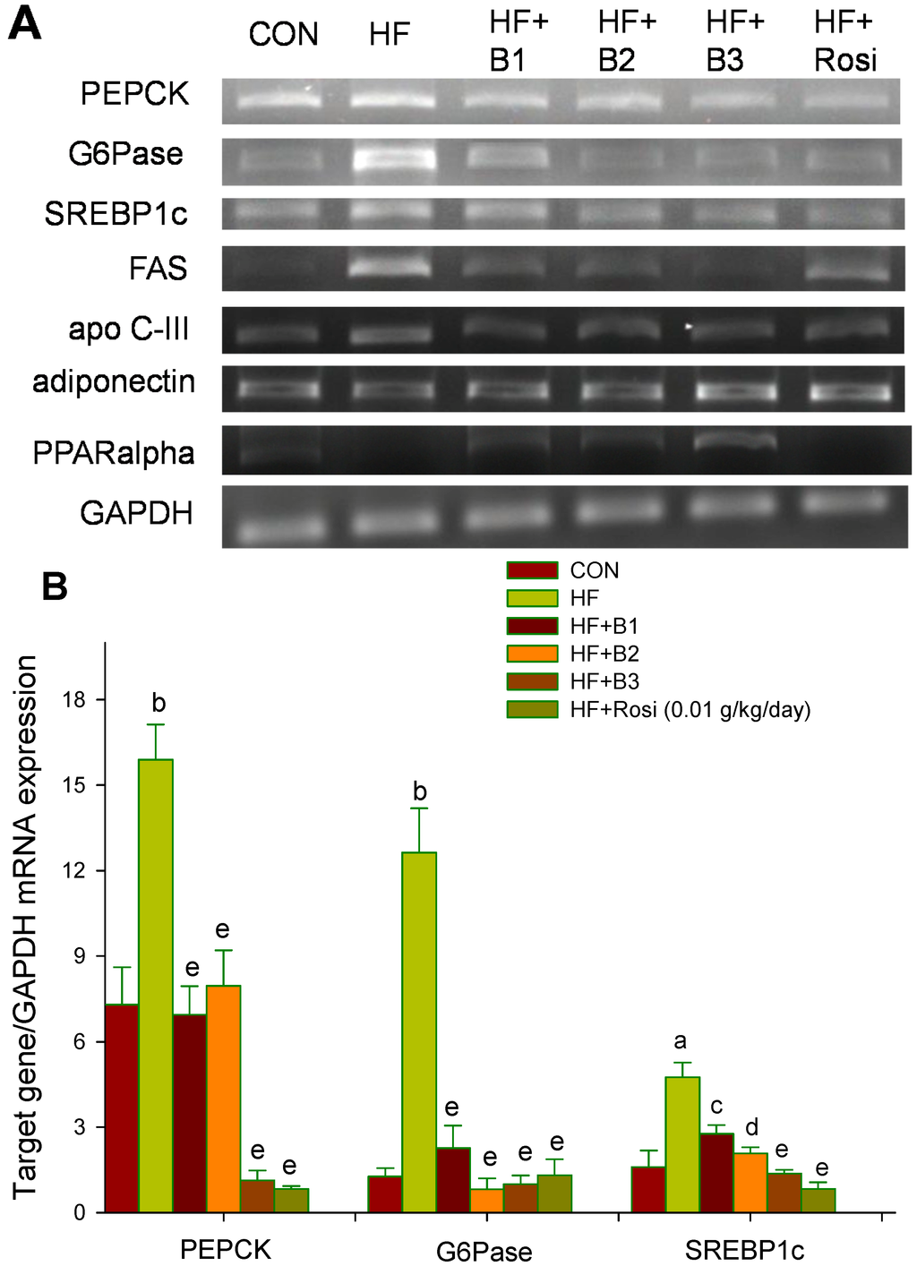 Ijms 15 20022 g004a 1024