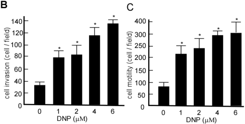 Ijms 15 20054 g002b 1024