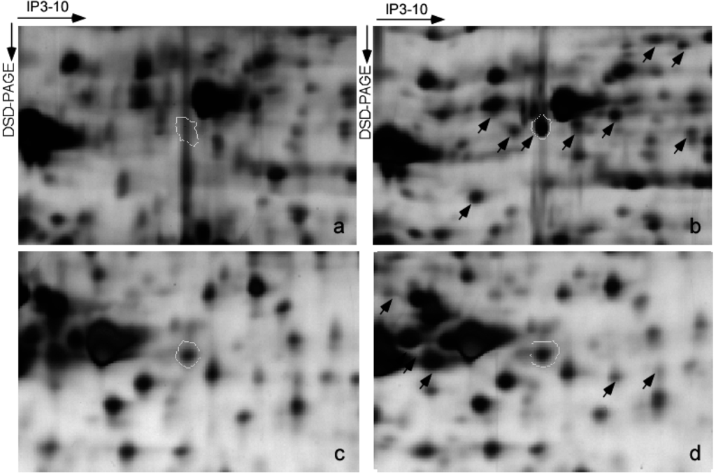 Ijms 15 20054 g003 1024