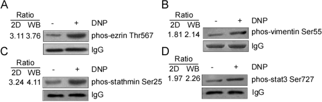 Ijms 15 20054 g004 1024