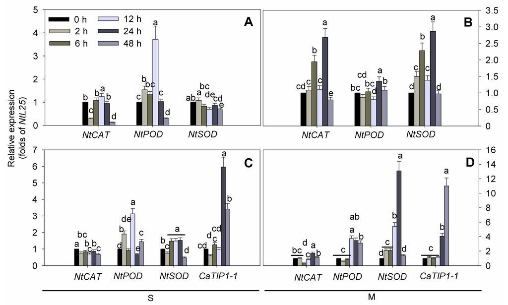 Ijms 15 20101 g007 1024