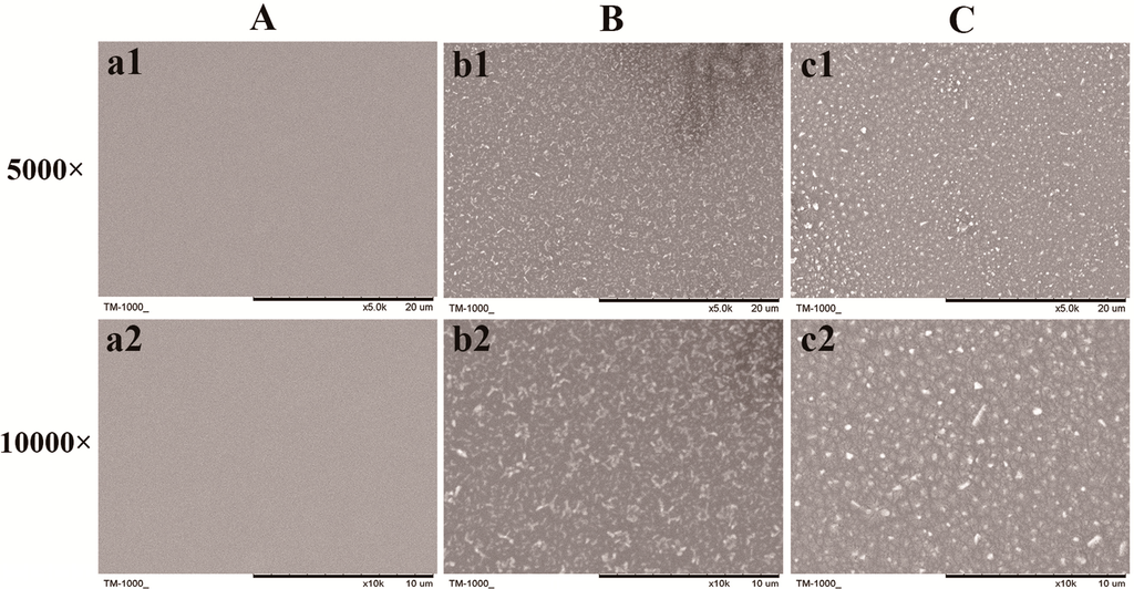 Ijms 15 20117 g003 1024