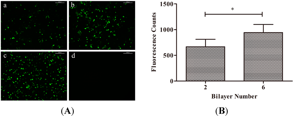 Ijms 15 20117 g005 1024