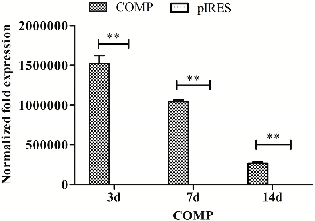 Ijms 15 20117 g006 1024
