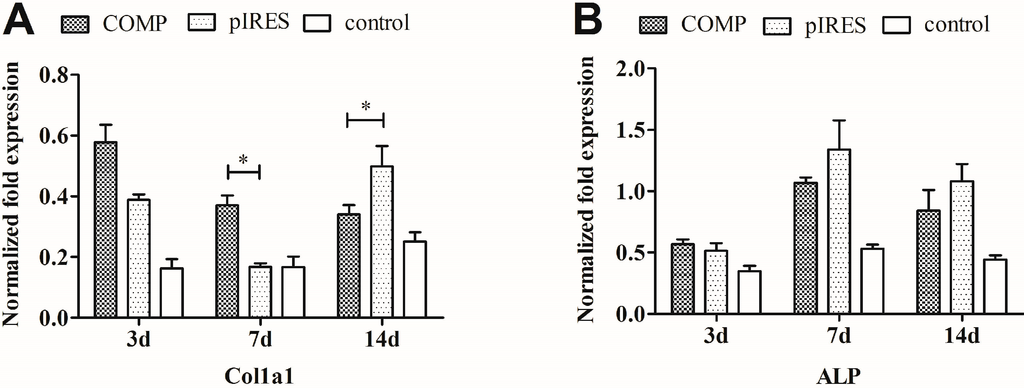 Ijms 15 20117 g007a 1024