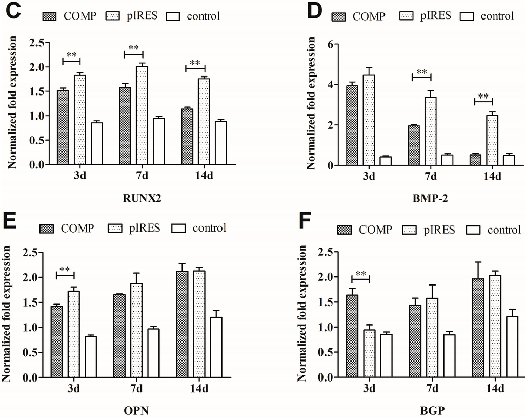 Ijms 15 20117 g007b 1024