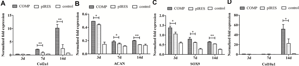 Ijms 15 20117 g008 1024