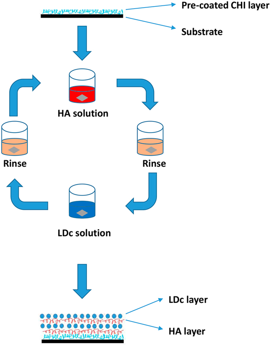 Ijms 15 20117 g010 1024
