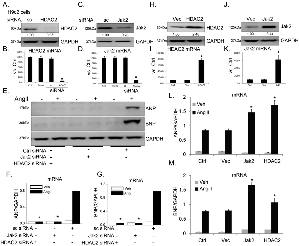 Ijms 15 20240 g001 1024
