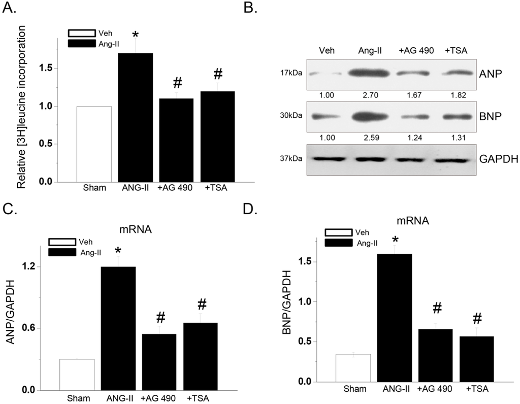Ijms 15 20240 g002 1024