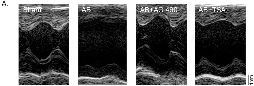 Ijms 15 20240 g003a 1024