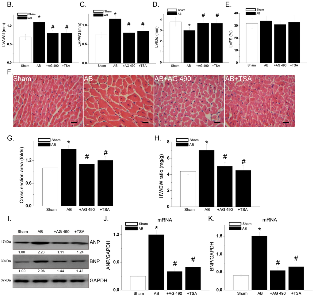 Ijms 15 20240 g003b 1024