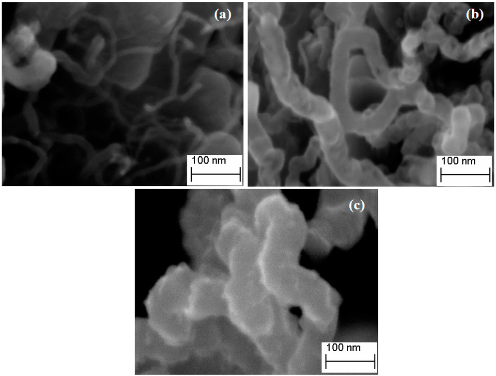 Ijms 15 20254 g005 1024