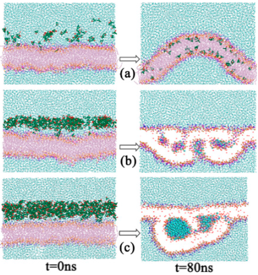 Ijms 15 20365 g002 1024