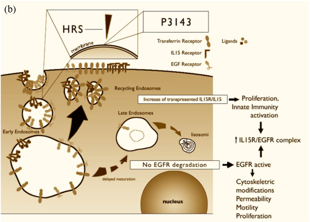 Ijms 15 20518 g003b 1024