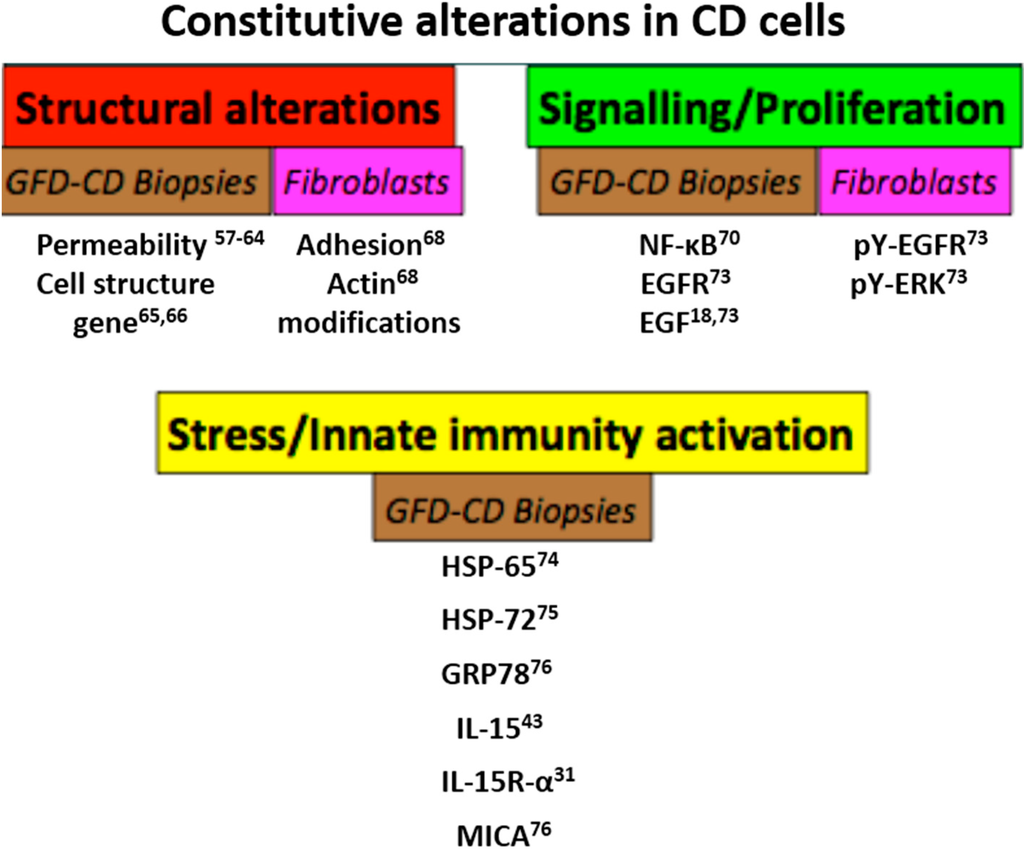 Ijms 15 20518 g004 1024