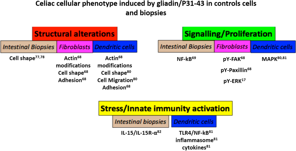 Ijms 15 20518 g005 1024