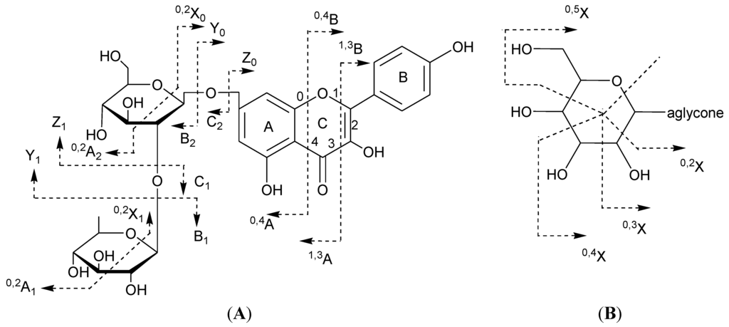 Ijms 15 20668 g002 1024