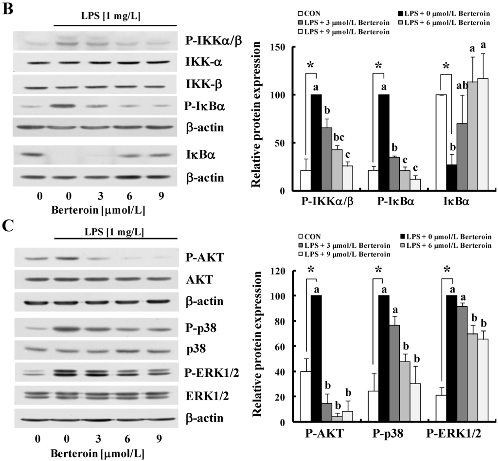 Ijms 15 20686 g005b 1024