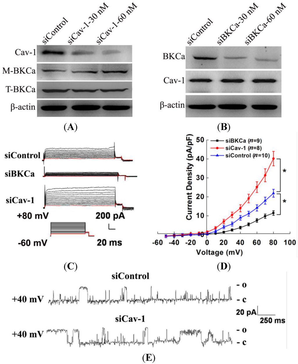Ijms 15 20706 g002a 1024