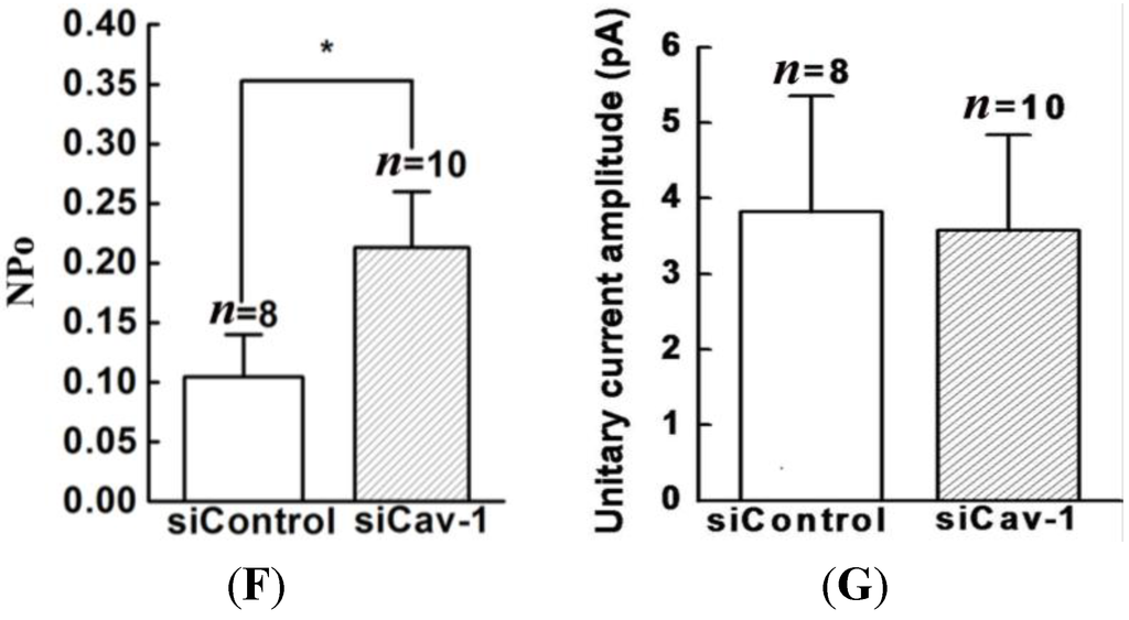 Ijms 15 20706 g002b 1024
