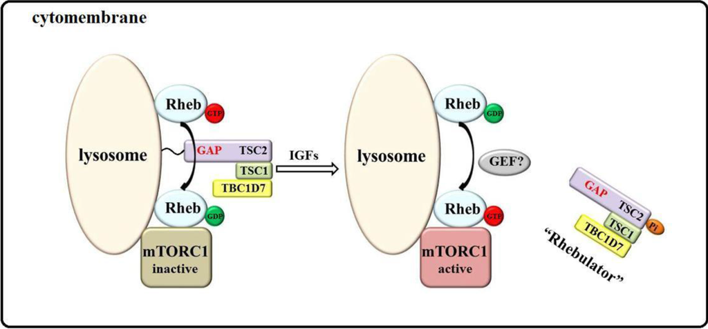 Ijms 15 20753 g001 1024