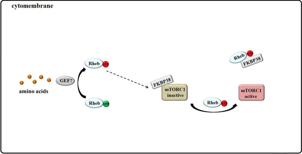 Ijms 15 20753 g005 1024