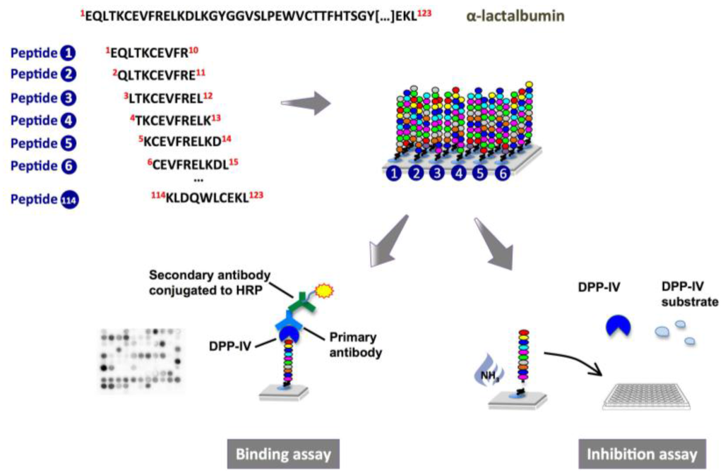 Ijms 15 20846 g001 1024