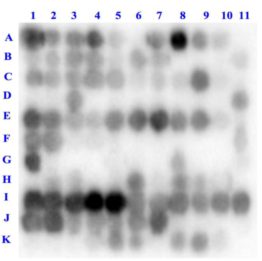 Ijms 15 20846 g002 1024