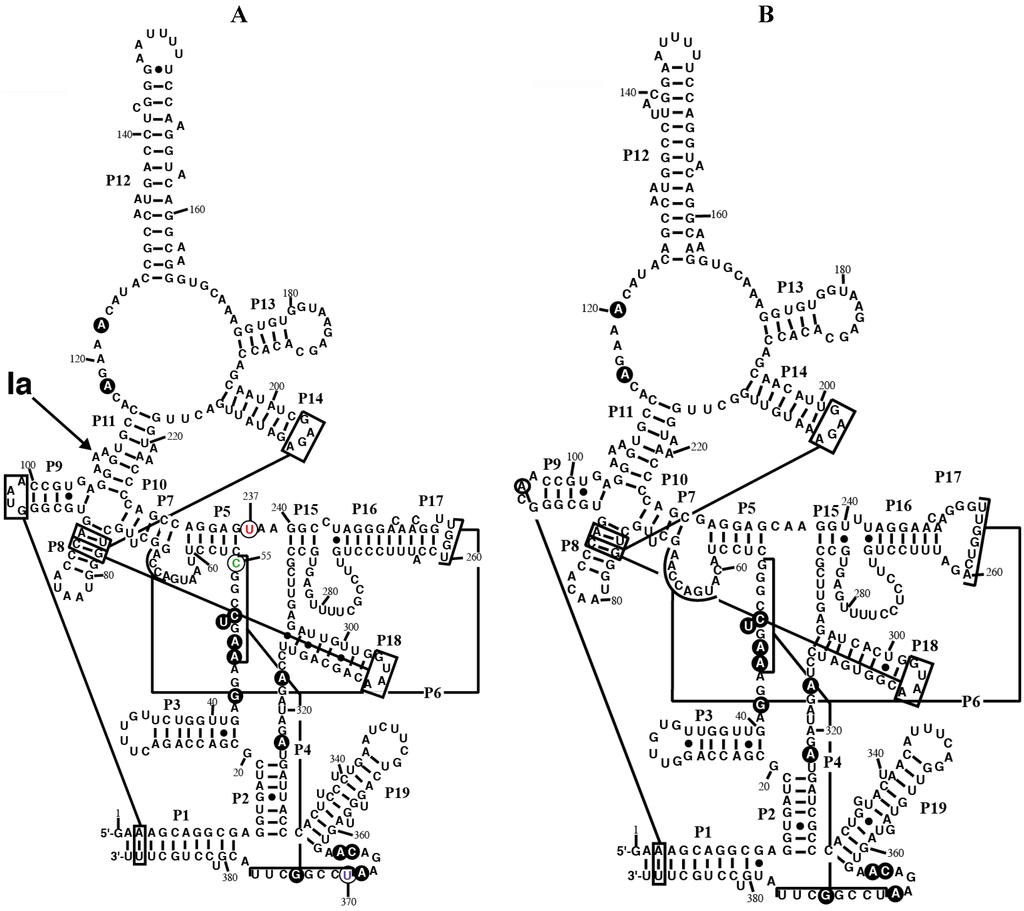 Ijms 15 20859 g001 1024