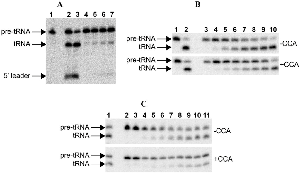 Ijms 15 20859 g002 1024