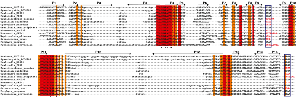 Ijms 15 20859 g005a 1024