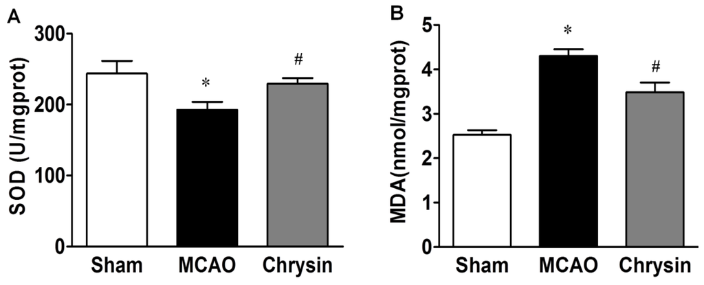 Ijms 15 20913 g002 1024