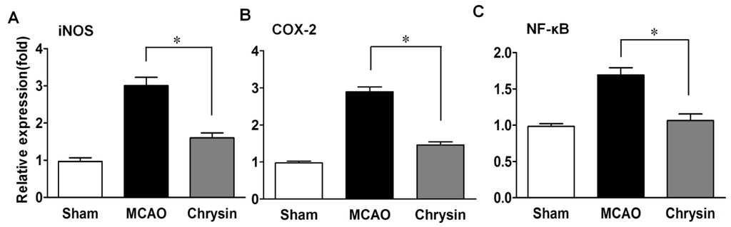 Ijms 15 20913 g004 1024