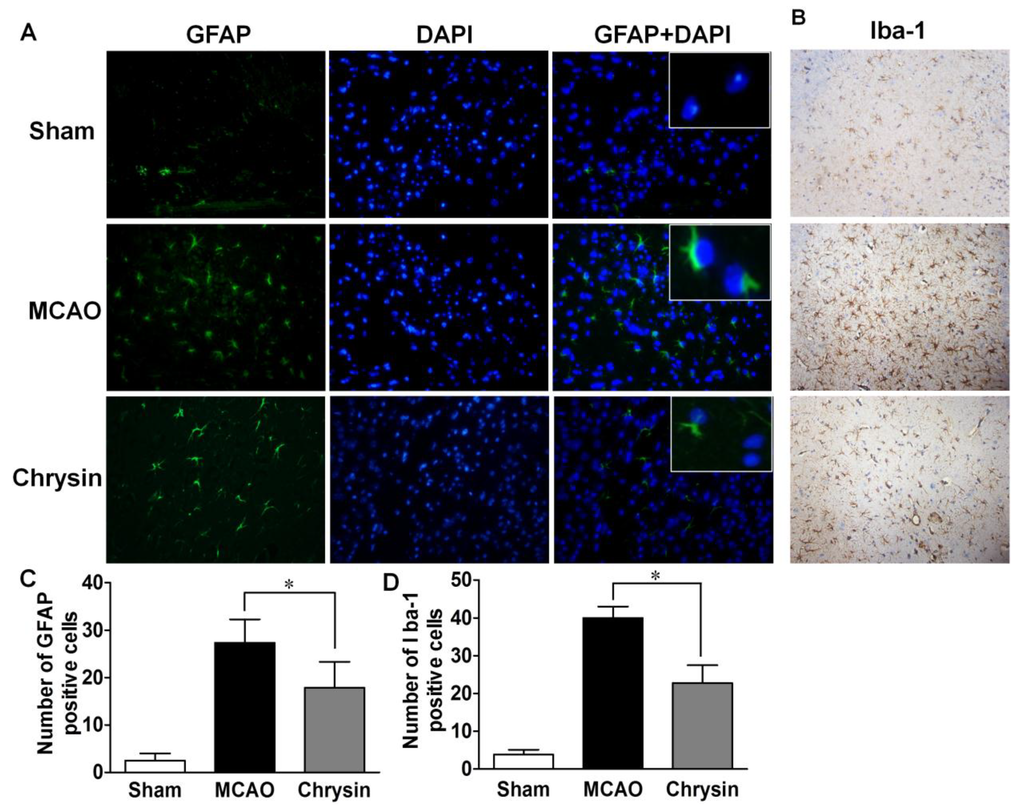 Ijms 15 20913 g005 1024