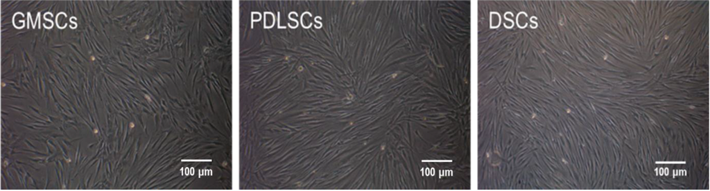 Ijms 15 20982 g001 1024