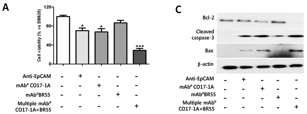 Ijms 15 21105 g002a 1024