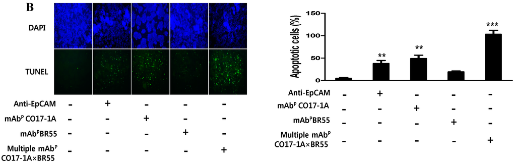 Ijms 15 21105 g002b 1024