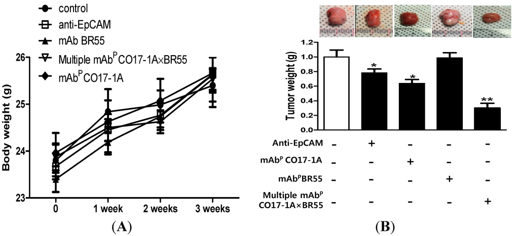 Ijms 15 21105 g003 1024