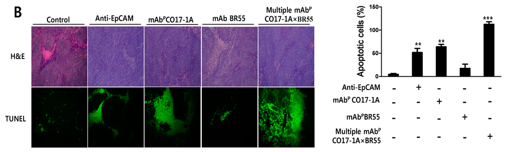 Ijms 15 21105 g004b 1024