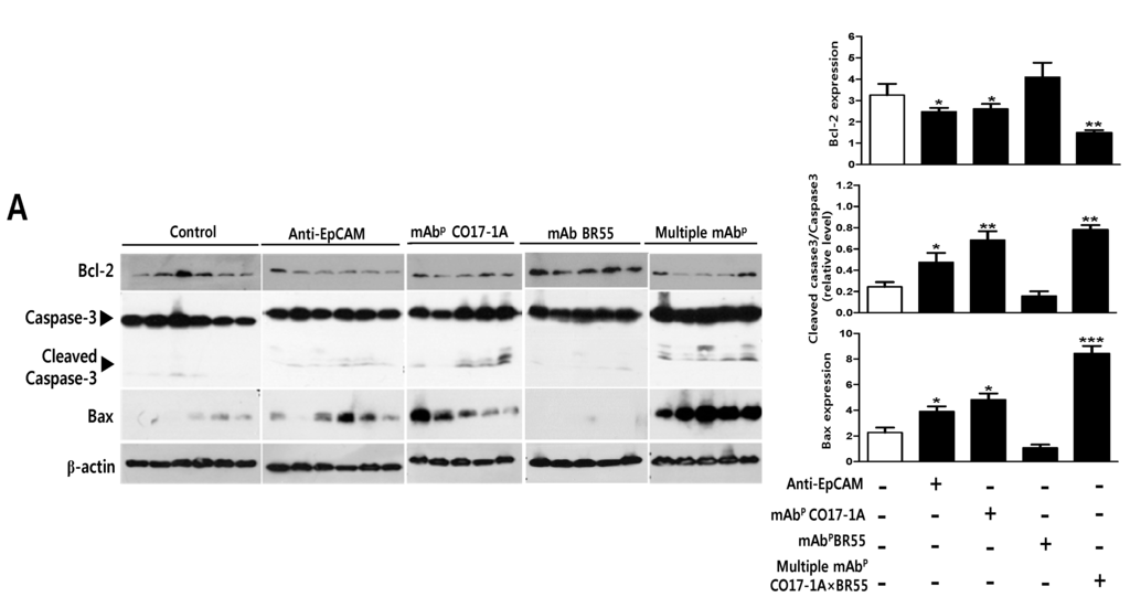 Ijms 15 21105 g005a 1024