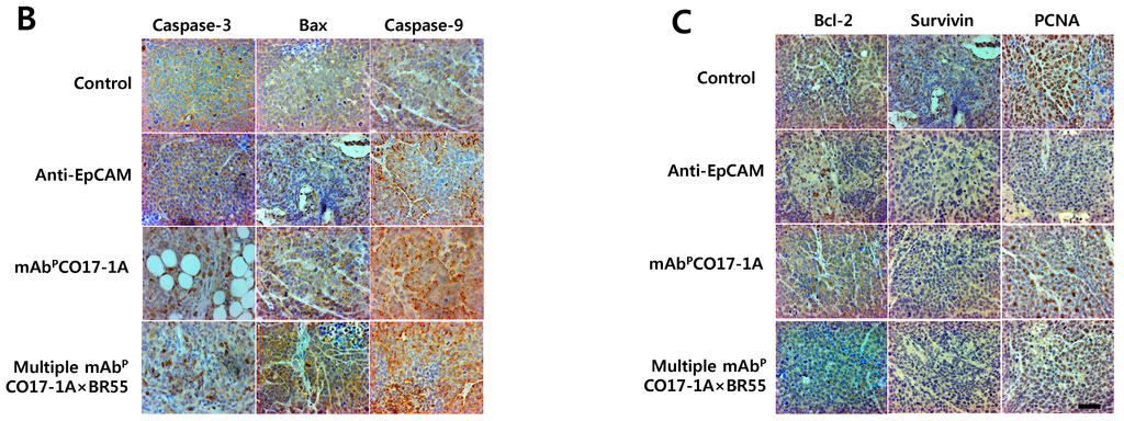 Ijms 15 21105 g005b 1024