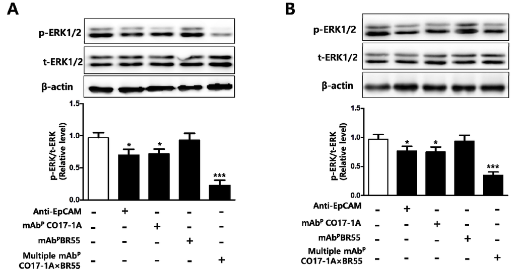 Ijms 15 21105 g006 1024