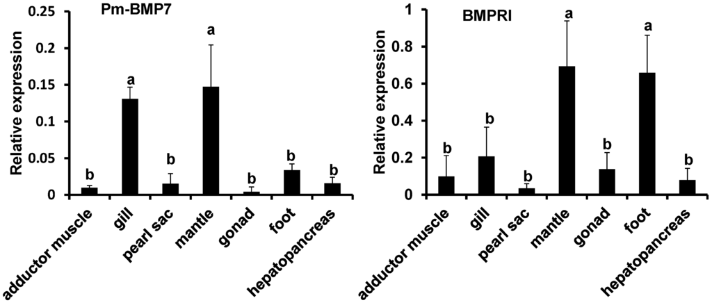 Ijms 15 21215 g004a 1024