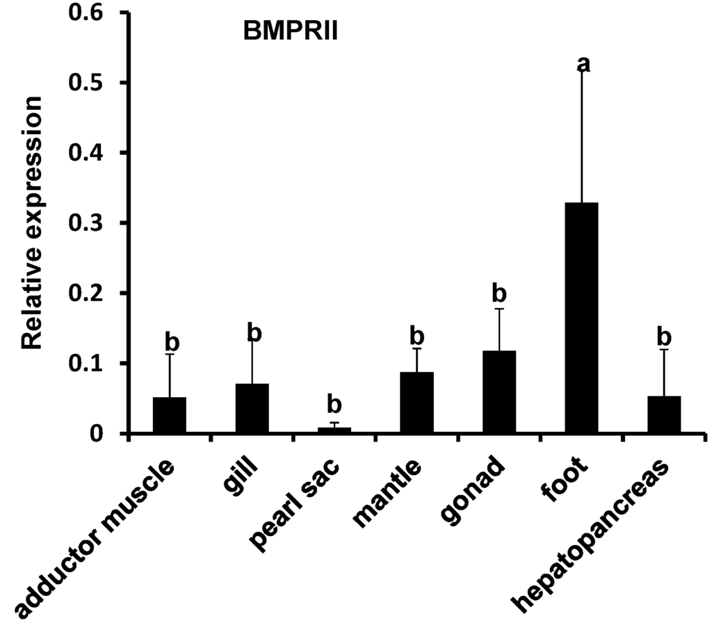 Ijms 15 21215 g004b 1024