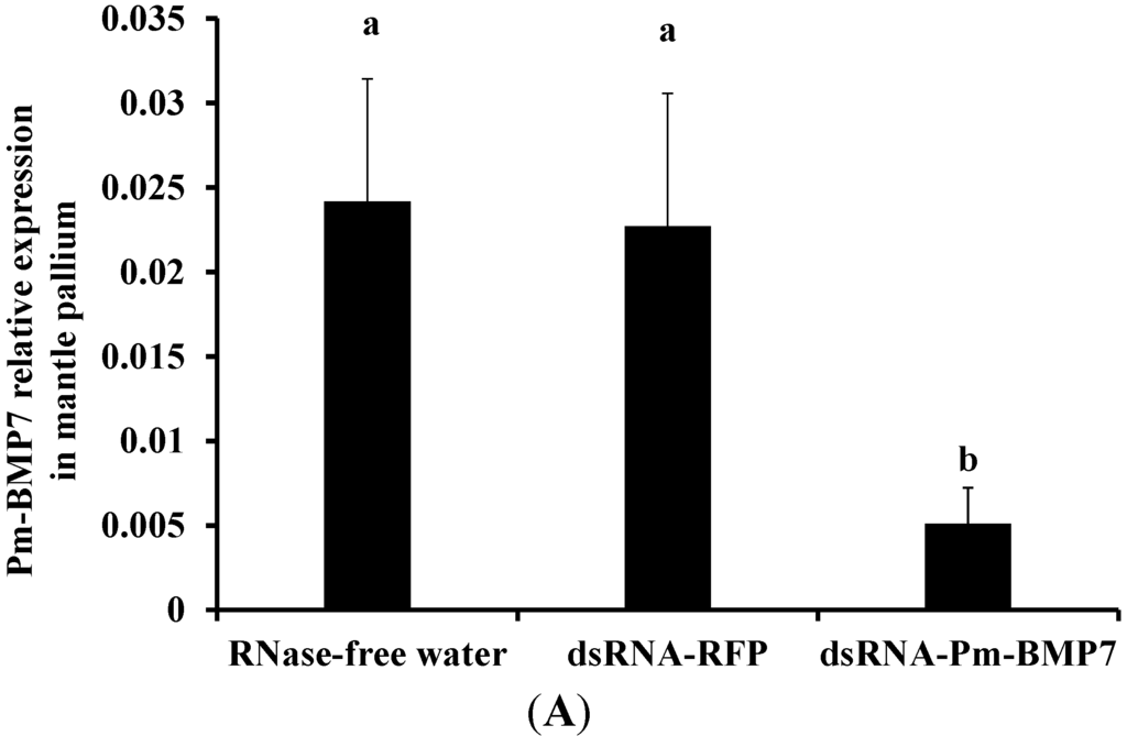 Ijms 15 21215 g005a 1024